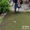 Putting-Green-Maintenance-DeShayes-Dream-Greens