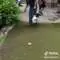 Putting-Green-Maintenance-DeShayes-Dream-Greens